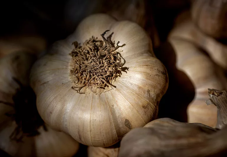 MUST READ! The Spiritual Benefits of Garlic
