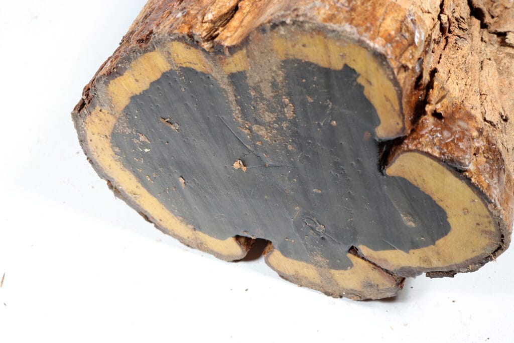 The Amazing Spiritual Benefits African Blackwood