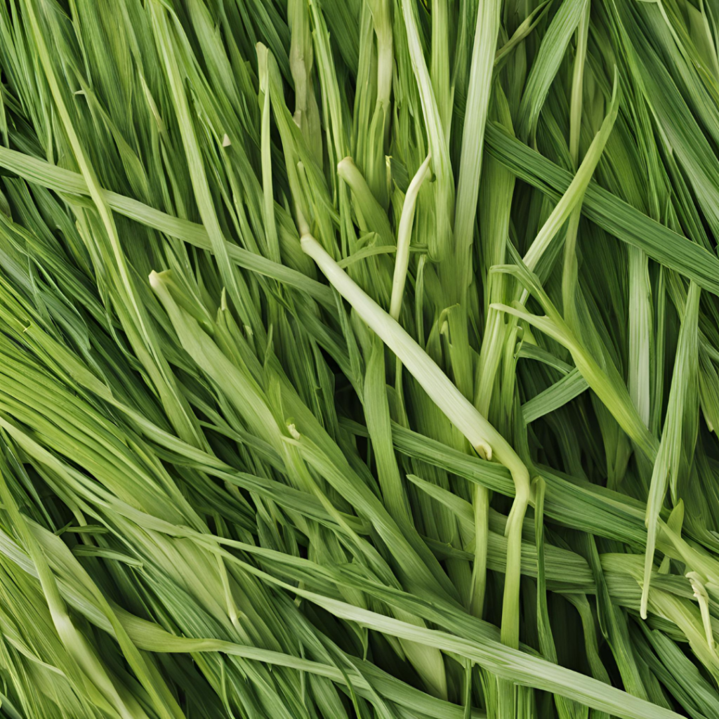 Lemongrass: Nature’s Spiritual Healer for Protection, Clarity, and Emotional Healing