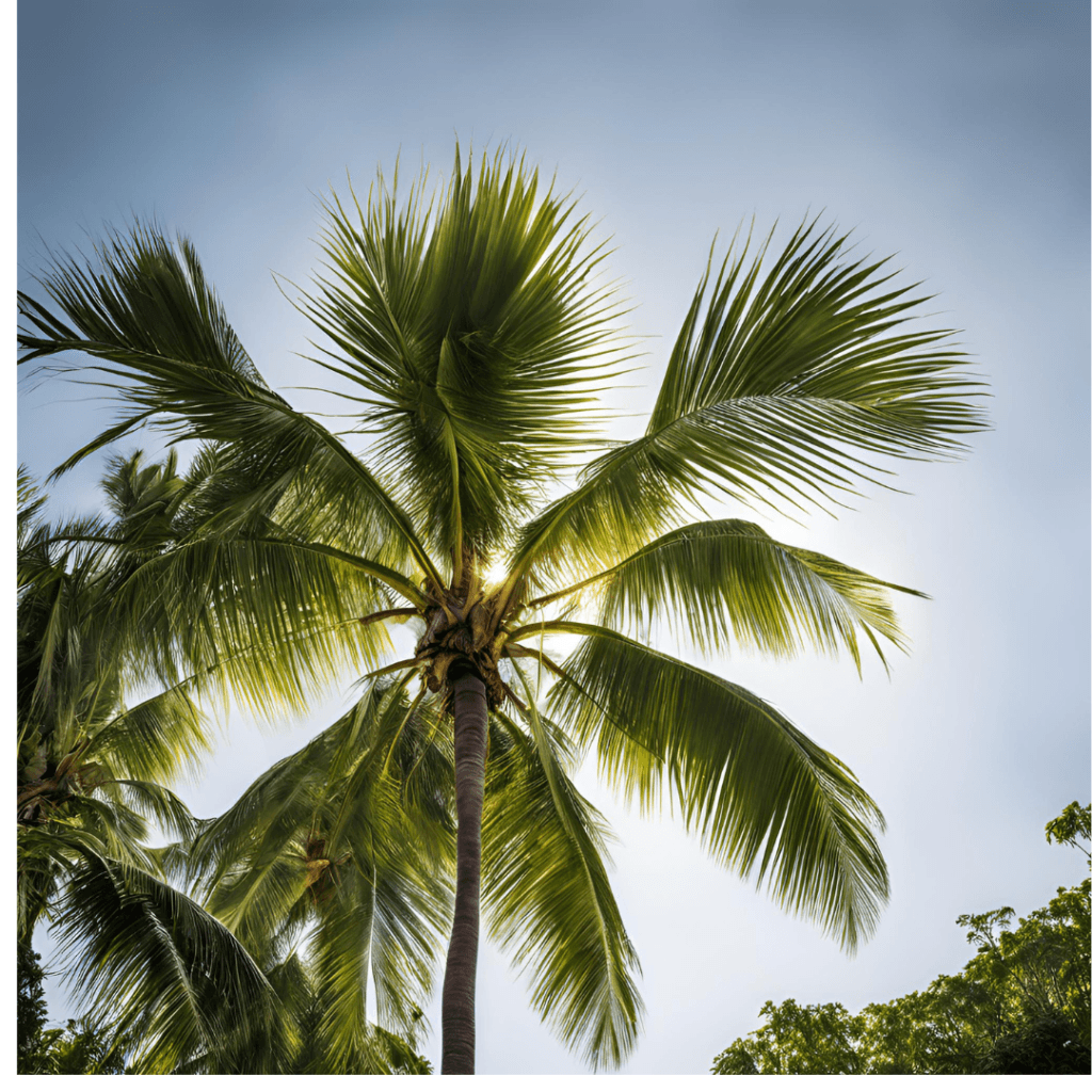 Coconut Palm: The Tree of Life That Brings Healing, Prosperity, and Divine Connection