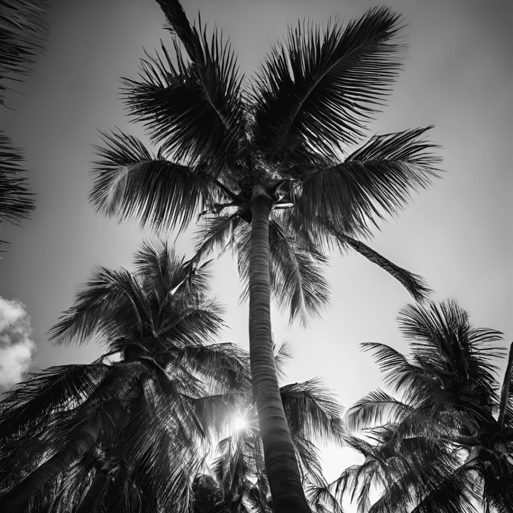 Coconut Palm: The Tree of Life That Brings Healing, Prosperity, and Divine Connection