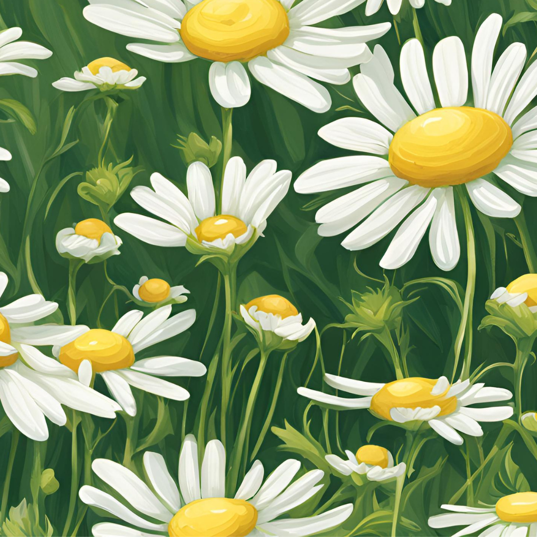 The Spiritual Benefits of Chamomile: A Gentle Herb for Healing and Peace