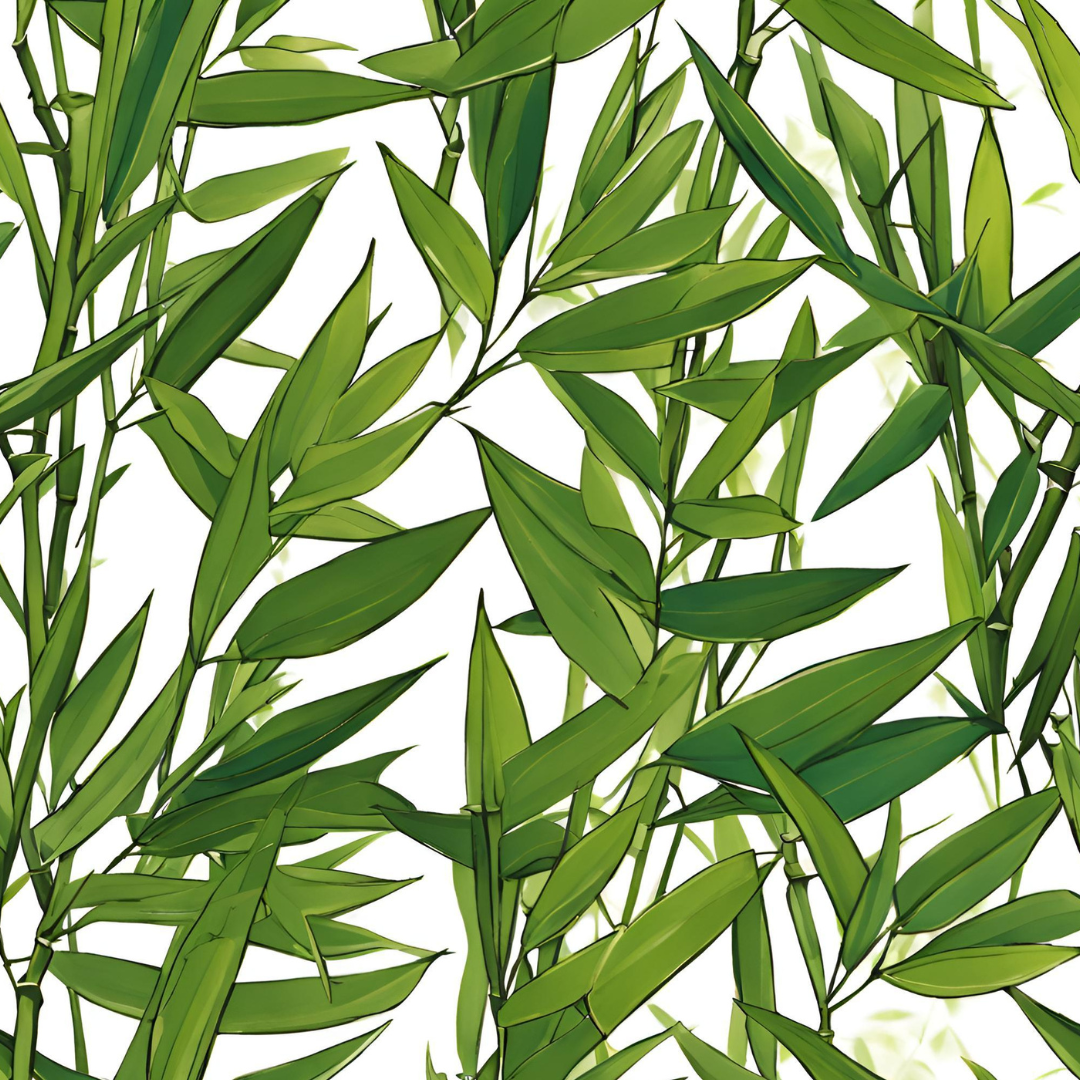 FUN FACTS! The Spiritual Benefits of Bamboo Leaves