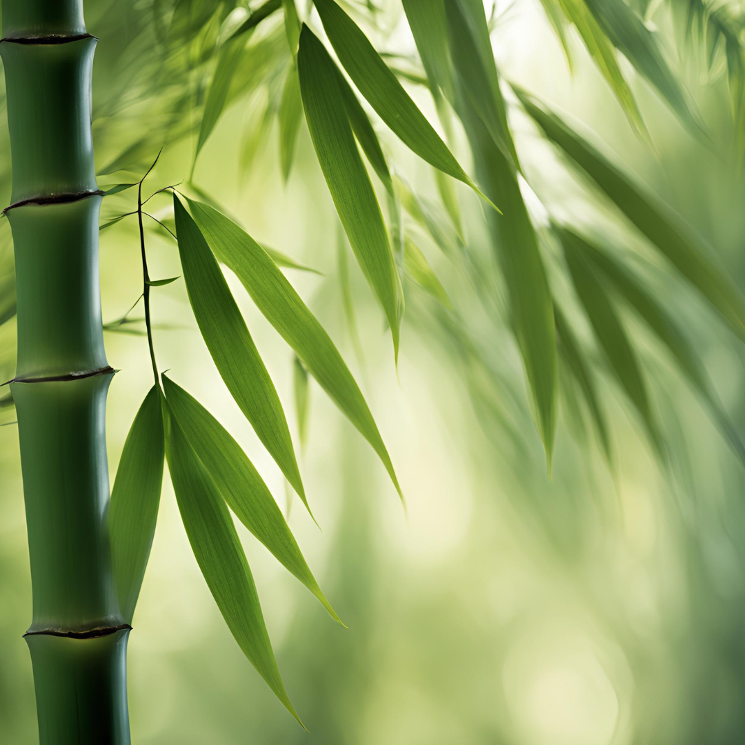 FUN FACTS! The Spiritual Benefits of Bamboo Leaves