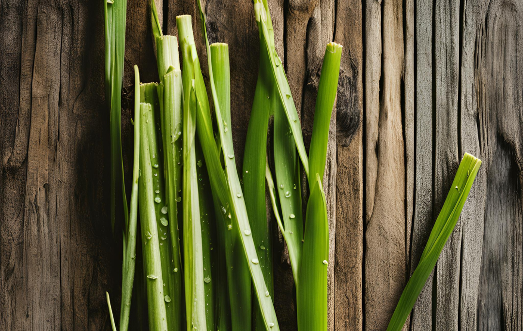 Lemongrass Stalks: The Spiritual Benefits of This Amazing Herb