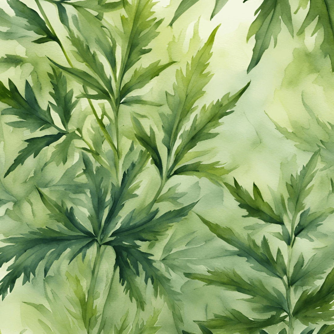 Mugwort Leaves: It's Spiritual Benefits