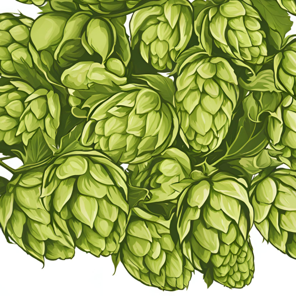 The Spiritual Benefits of Hops You Didn't Know!