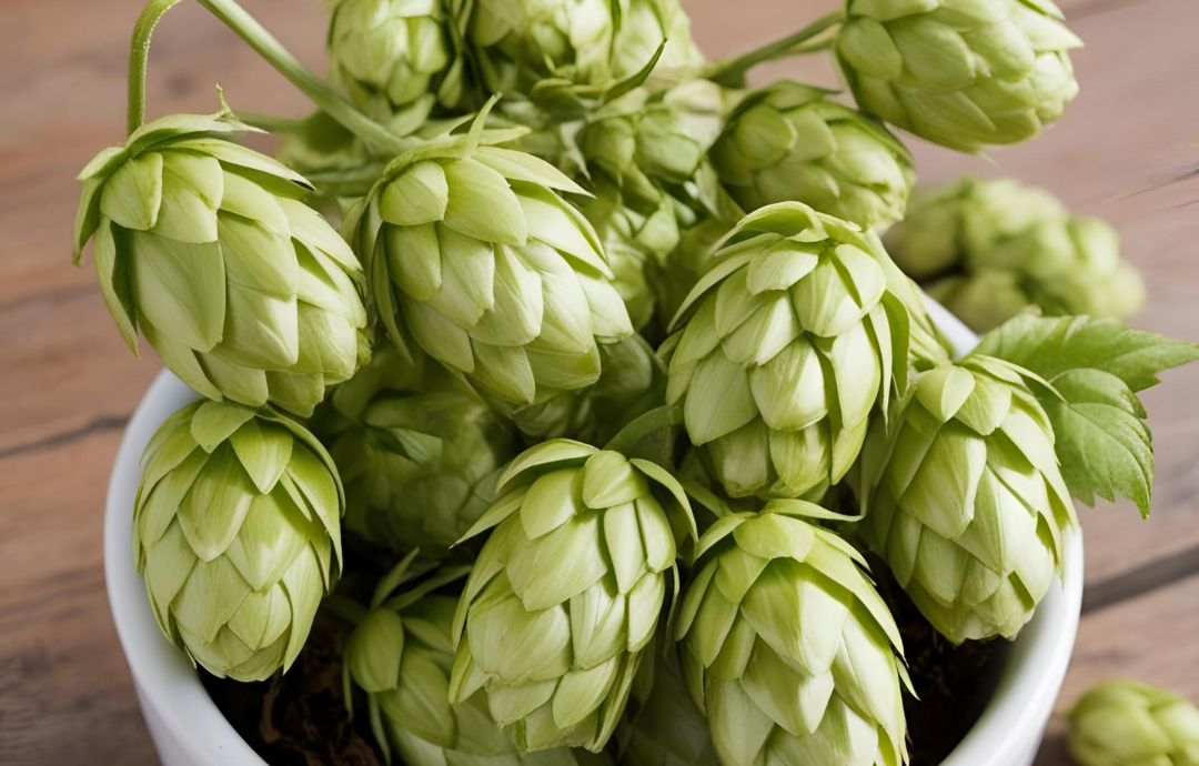 Hops and the Sacred Art of Letting Go